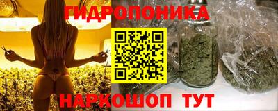 СК Конаково
