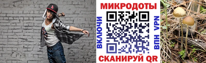 Псилоцибиновые грибы MAGIC MUSHROOMS  KRAKEN вход  Камышин 