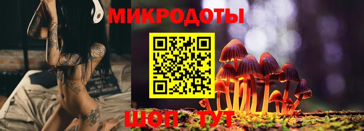 Псилоцибиновые грибы мухоморы Камышин